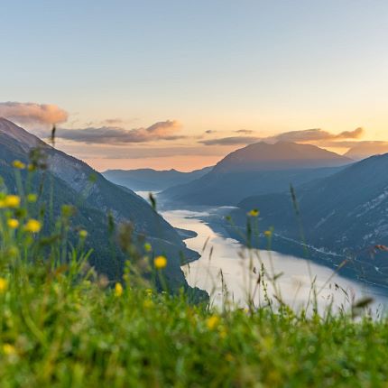 Angebote im Frühling