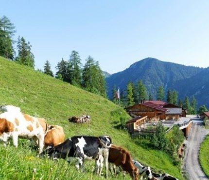Unsere Sommerangebote